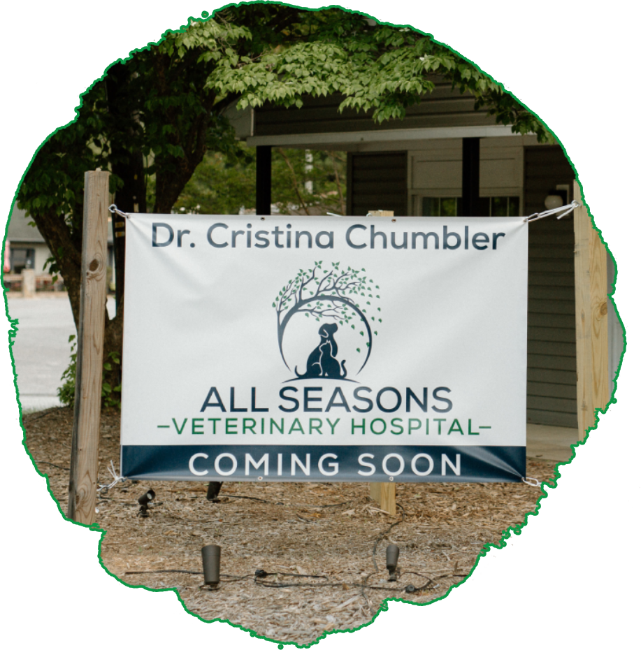 Best Veterinary Hospital In Tryon, NC 28782 All Seasons Veterinary